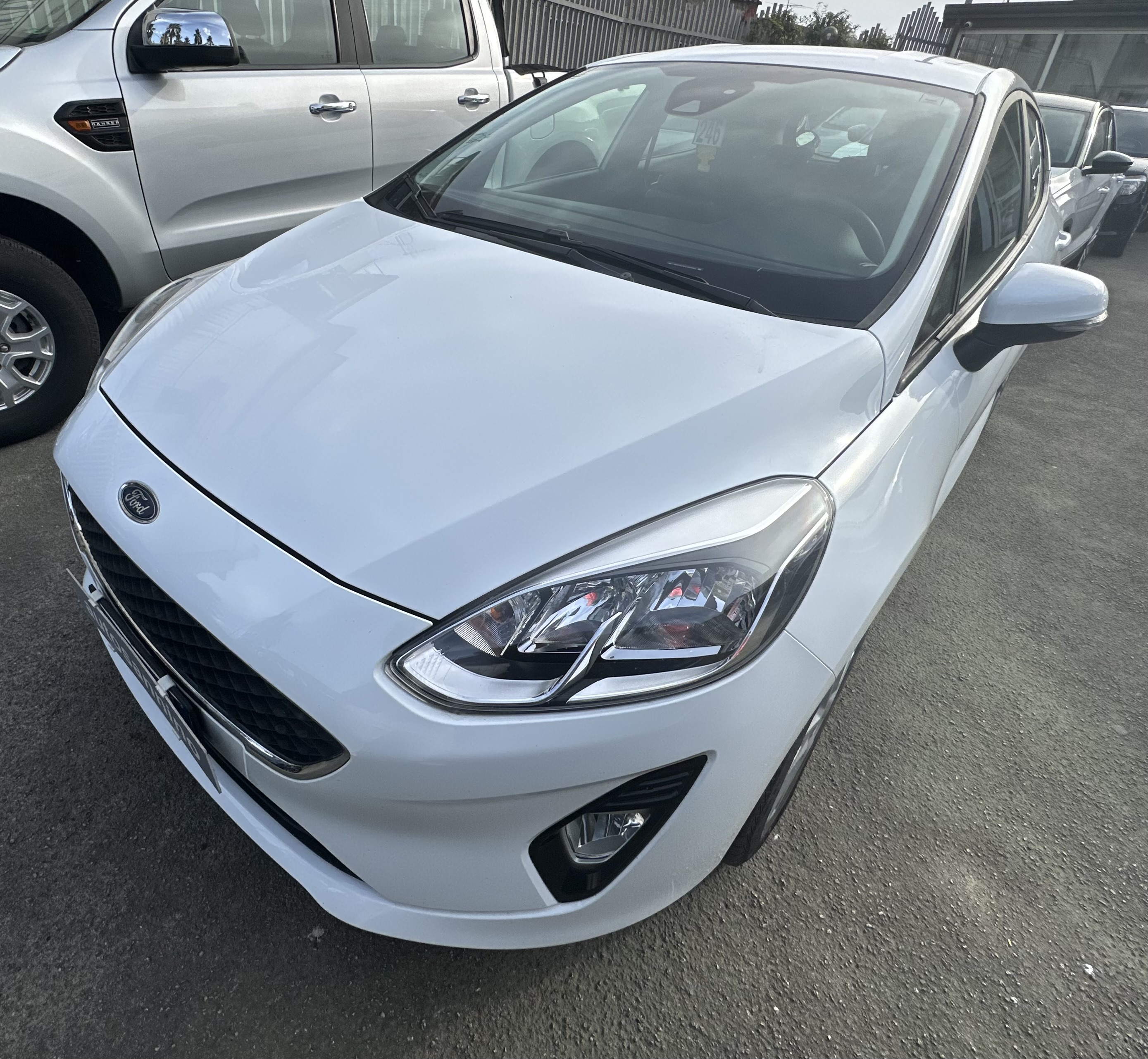 Fiesta 1.5 75cv Plus schermo touch 02/2019 km 75.000